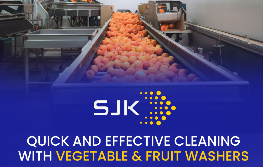 Vegetable Washer Manufacturers in India
